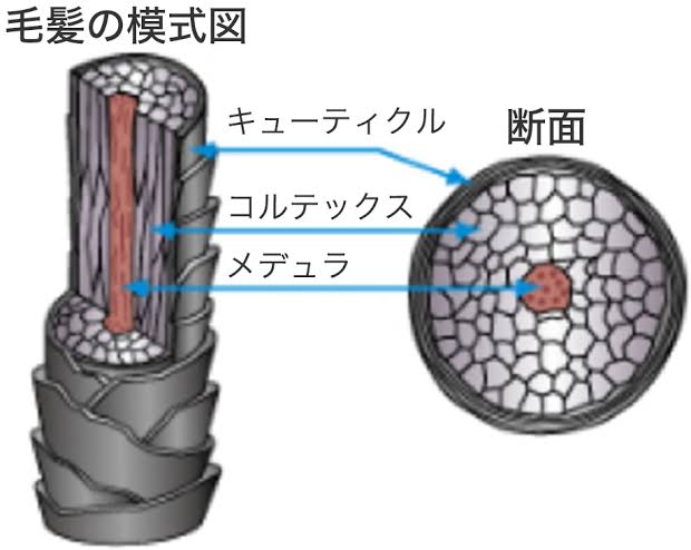 湿気が多くて広がりやすい季節〜広がらないようにする対処法!! 奈良・京都・大阪の美容室 ハピネス