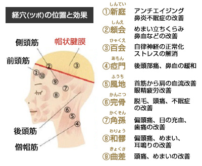 ヘッドスパとは 驚愕 驚きの効果とは 奈良 京都 大阪の美容室 ハピネス