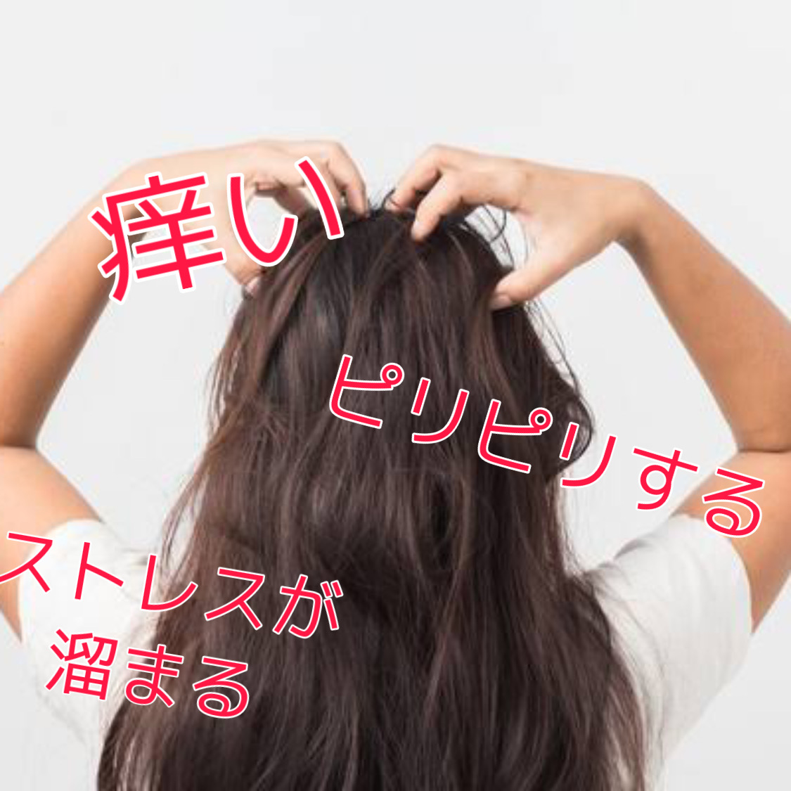 これで頭皮のお悩み解決 頭皮の乾燥 ベタつきが気になる方必見 乾燥ベタつきの原因と対策とは 奈良 京都 大阪の美容室 ハピネス