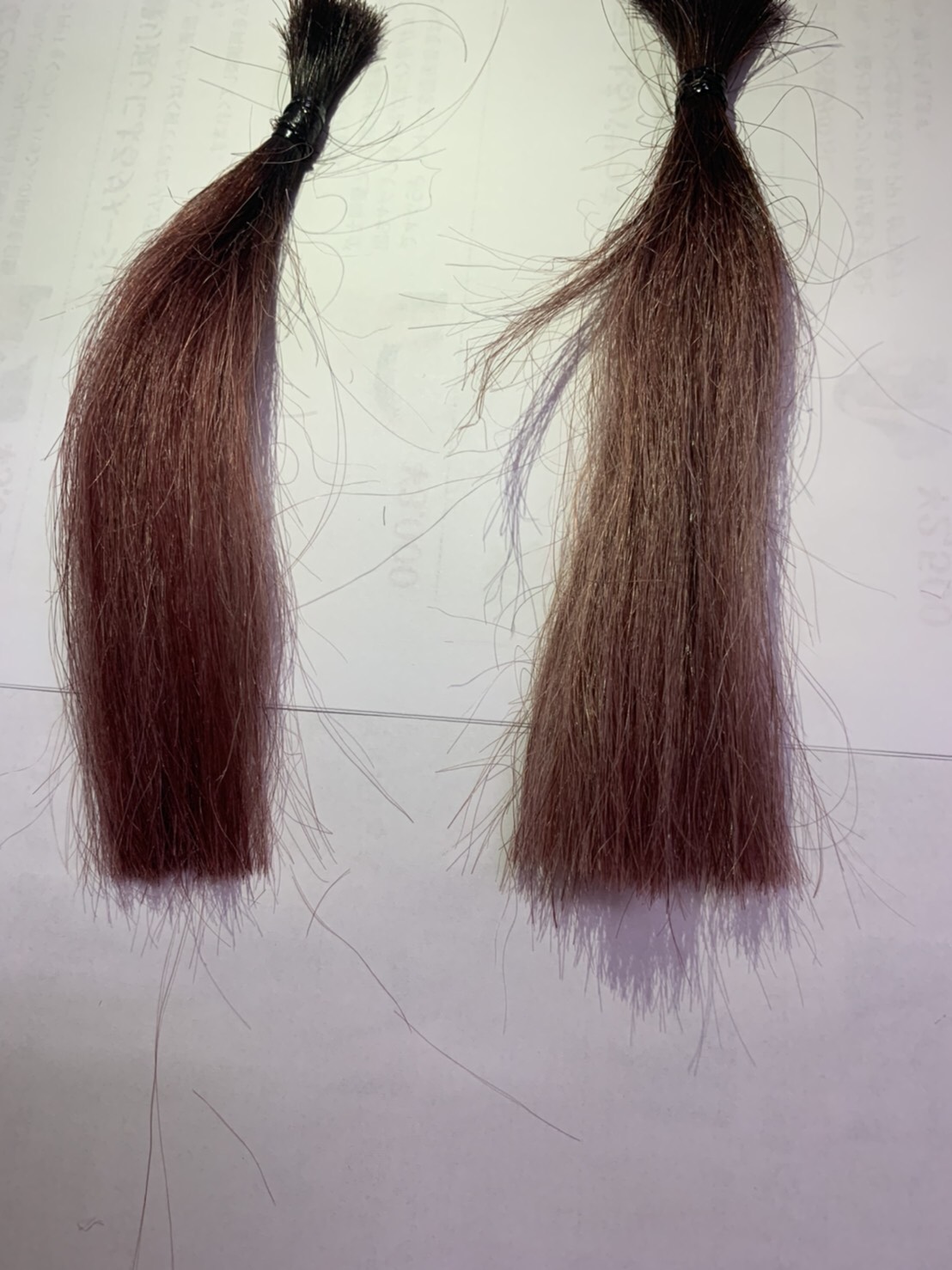 美容室のシャンプーと市販のシャンプーを比べてみた 奈良 京都 大阪の美容室 ハピネス